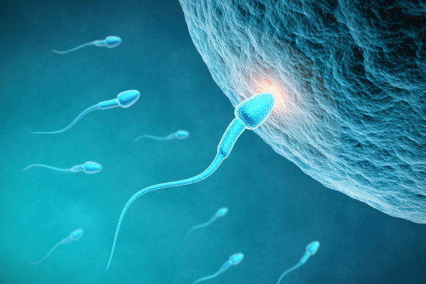 ASSISTED REPRODUCTION
