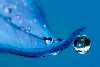 AGUAS